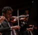 be your violin teacher