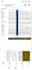 provide professional financial analysis and reporting