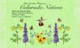 draw botanical illustrations in watercolor