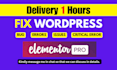 fix elementor errors, wordpress issues and website bugs within 1 hour