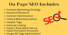 do complete on page SEO and technical optimization for your website