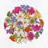 create botanical illustrations for natural product packaging