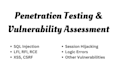 do penetration testing, vulnerability assessment and secure