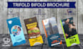 design a flyer, trifold, bifold, brochure real state leaflet