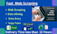 do expert data entry, web research, and copy paste services
