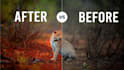 professionally edit your youtube videos