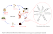 design and redesign a incredible diagram