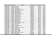 excel spradsheet and formet business sales data