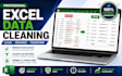 clean, organize, format and fix excel data professionally