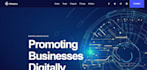 build wordpress website, business website, blog website