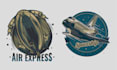 make creative airplane, jet, airline and aviation logo