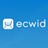 build ecwid ecommerce dropshipping ecwid website ecwid seo ecwid store marketing