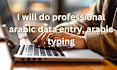 do professional data entry and typing in english and arabic