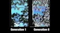 convert your videos into authentic vhs recordings