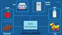 offer accurate data annotation services