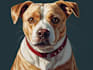 make pet portraits character logo and friendship portrait