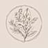 create boho hand drawn botanical feminine logo