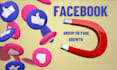 manage your facebook group and page professionally