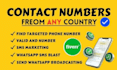 generate bulk active whatsapp phone number database in hours