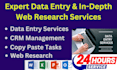 your virtual assistant for data entry services web research