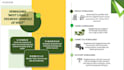 do profesional presentation on urban planning and design