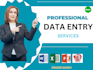 professional data entry specialist for ms office projects