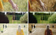do professional video color grading and color correction