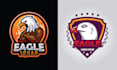 make hand drawn birds, falcon, eagle logo with my creative thinking