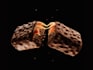 create 3d food animation, fluid and liquid animation, vfx, 3d water simulation