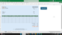 deliver professional excel solutions complex formulas and data management