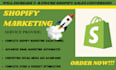 boost your shopify store sales with expert promotion, shopify marketing ads