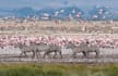 assist you plan your vacation in africa