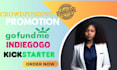 do organic kickstarter crowdfunding campaign promotion for indiegogo, gofundme