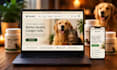 build pet shopify store pet supplies store pet website pet dropshipping website