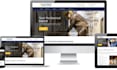 design electrician handyman painting plumbing wordpress website