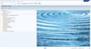 make your sap assignments