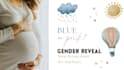 make a beautiful gender baby shower video