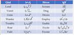 teach you how to speak and write in urdu