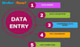 do data entry in low price