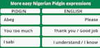 offer you best english to nigerian pidgin translations