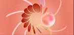 create an amazing logo animation that stands out