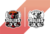 vectorize image, image to vector, vector tracing, vector logo