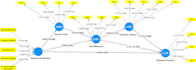 analyze data using pls SEM, interpret and report results