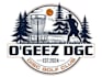 design a wonderful disc golf logo