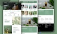 design shopify store or redesign shopify store, shopify dropshipping website