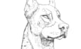 customize a ready to stencil tattoo design