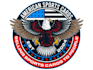 design a professional eagle logo