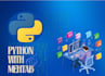 do python programming developer