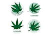 do cannabis weed marijuana hemp cbd oil logo design with all file