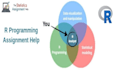 assist in data analysis with r, rstudio, data visualization